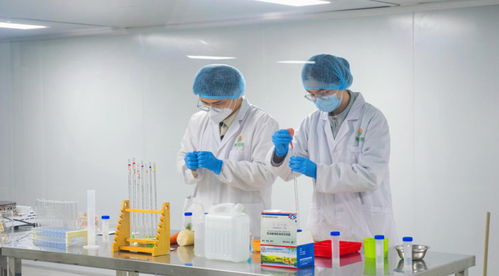 福鼎市福供云厨项目竣工暨2023年“开门稳”启动仪式圆满举行